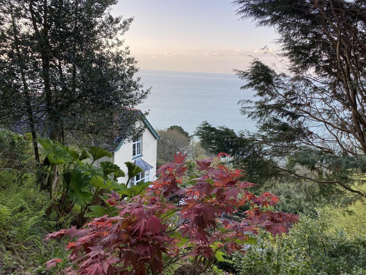 North Walk House Bed & Breakfast Lynton Exterior foto