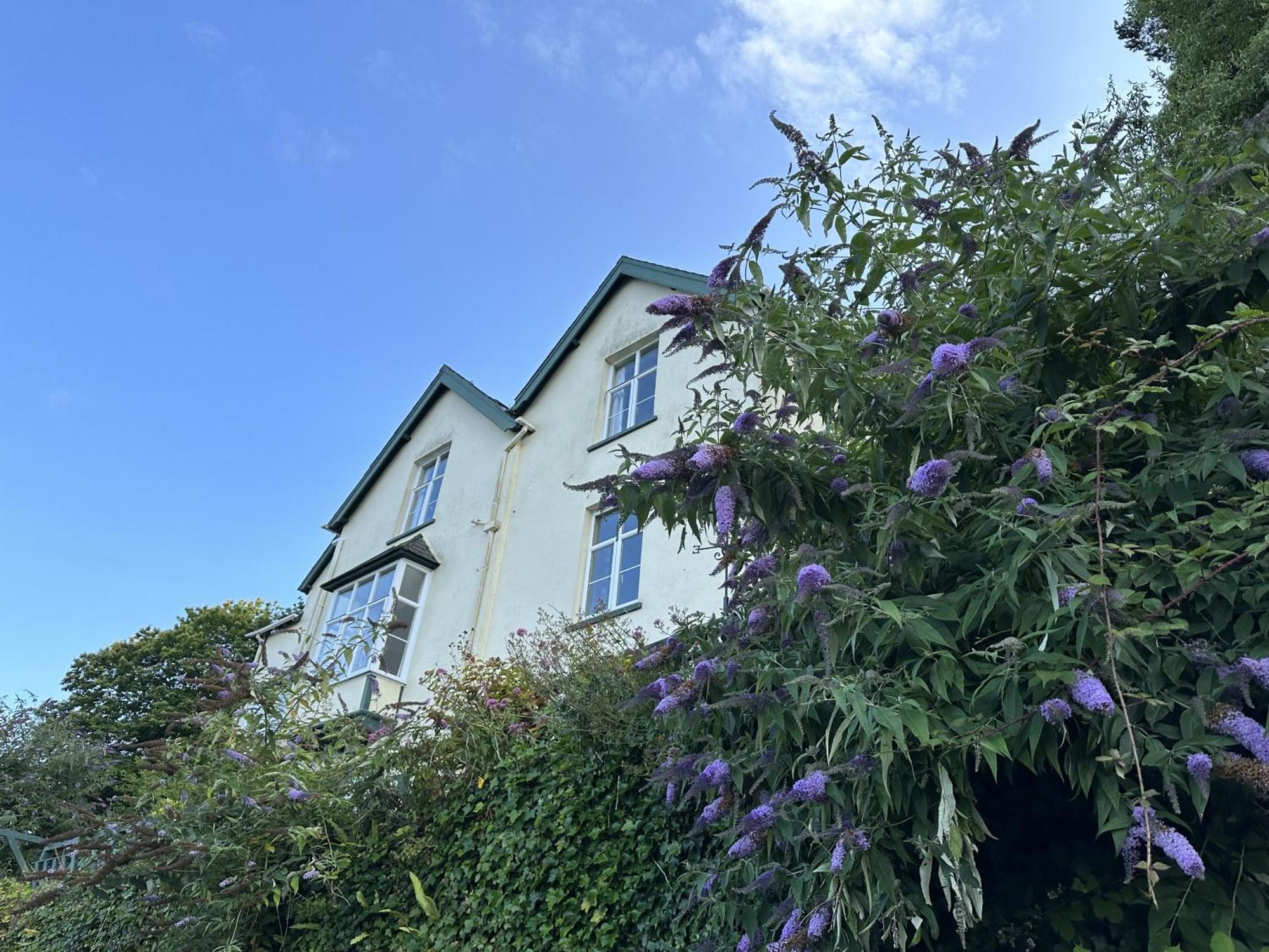 North Walk House Bed & Breakfast Lynton Exterior foto